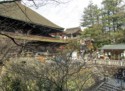 The Buddhist temple and Shinto shrine side by side